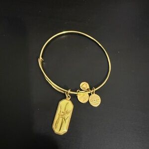 Alex and Ani bangle bracelet